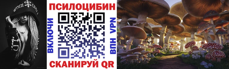 Псилоцибиновые грибы мицелий  Курганинск 